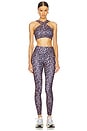 view 4 of 4 SPORT LEX 브라 in Leopard