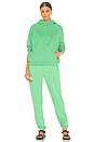 view 4 of 4 SWEAT BOYFRIEND in Green Vibes