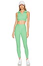 view 4 of 4 Ribbed Pocket Legging in Green Watermelon