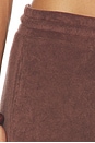 view 6 of 6 Terry Vacation Pant in Chocolate Brown