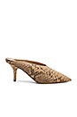 view 1 of 5 ESCARPIN MULE in Taupe