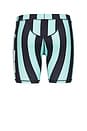 view 2 of 4 Hardwear Bike Shorts in Teal & Black Stripe