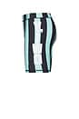 view 3 of 4 Hardwear Bike Shorts in Teal & Black Stripe