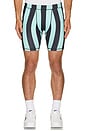 view 4 of 4 Hardwear Bike Shorts in Teal & Black Stripe