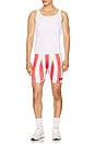 view 3 of 4 Hardwear Bike Short in Red & White Stripe