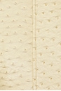 view 5 of 5 Olsen Ostrich Jacket in Sand
