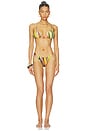 view 4 of 4 BRAGUITA VIVI CHARM BIKINI in Chrysalis