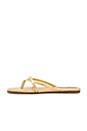 view 5 of 5 River Burnished Woven Flip Flop in Pure Gold