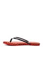view 6 of 6 Roee Zig Zag Flip Flop in Engine Red & Indigo