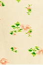 view 5 of 5 Corset Top in Rose Print