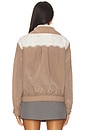 view 3 of 4 Retro Western Lace Pullover Top in Ivory & Hazelnut