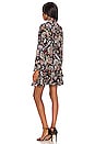 view 4 of 4 Jenna Dress in Rustic Paisley Black