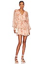 view 1 of 3 Marley Dress in Flirty Floral Blush