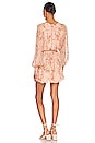 view 3 of 3 Marley Dress in Flirty Floral Blush