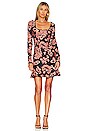 view 1 of 3 Jaida Dress in Rustic Paisley