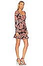 view 2 of 3 Jaida Dress in Rustic Paisley