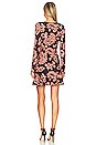 view 3 of 3 Jaida Dress in Rustic Paisley