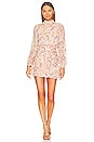 view 1 of 3 Teyona Mini Dress in Country Paisley Sand