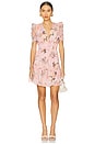 view 1 of 3 Ritzy Dress in Carol Garden Pink