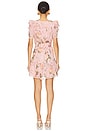 view 3 of 3 Ritzy Dress in Carol Garden Pink