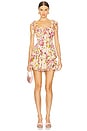 view 1 of 3 Elise Dress in Glamour Garden Blush
