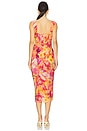 view 3 of 3 Rica Dress in Wild Field