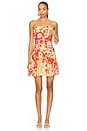 view 1 of 3 Juliana Dress in Sunset Field