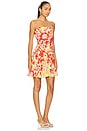 view 2 of 3 Juliana Dress in Sunset Field