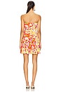 view 3 of 3 Juliana Dress in Sunset Field