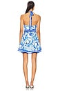 view 3 of 3 Dominique Dress in Diva Paisley Blue