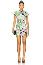 view 1 of 3 Saigon Dress in Lovely Lady Green