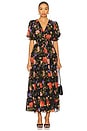 view 1 of 3 Farrah Maxi Dress in Garden Bloom Black
