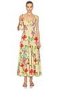 view 1 of 3 Canyon Maxi Dress in Seashore Butter