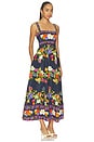 view 2 of 3 Kara Dress in Fruit Frenzy Navy