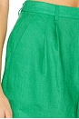 view 6 of 6 Laguna Short in Green Linen