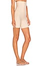 view 2 of 3 MODELADOR DE COXAS HIDDEN CURVES HIGH WAIST in Frappe