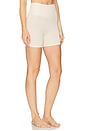 view 2 of 4 ШОРТЫ MONA in Nude