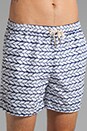 view 5 of 7 Roped Swim Short in Navy