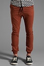 view 1 of 6 Sureshot Chino in Terracotta