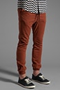view 2 of 6 Sureshot Chino in Terracotta