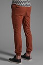 view 4 of 6 Sureshot Chino in Terracotta