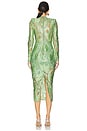 view 3 of 4 Vista Bella Dress in Sage