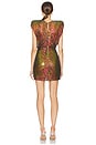 view 3 of 4 Pomme De Bonbon Mini Dress in Candy Apple