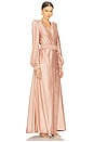 view 2 of 4 Cala Conta Gown in Nude