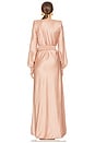 view 4 of 4 Cala Conta Gown in Nude