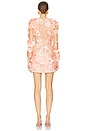 view 3 of 3 Aonia Mini Dress in Nude