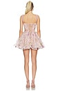 view 3 of 4 The Bertolini Mini Dress in Nude