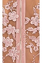 view 5 of 5 Poison Top in Blush