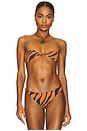 view 1 of 4 Twisted Bandeau Bikini Top in Brown Zebra