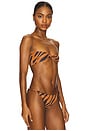 view 2 of 4 Twisted Bandeau Bikini Top in Brown Zebra